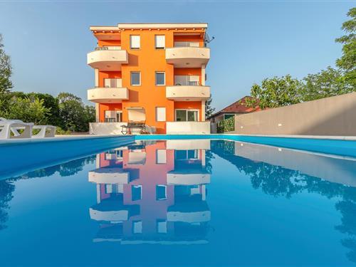 Holiday Home/Apartment - 16 persons -  - Obala kraljice Jelene - Zadar - Bibinje - 23205 - Bibinje