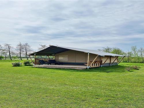 Glamping telt - 4 personer -  - 9215VV - De Veenhoop