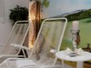 Bild 19