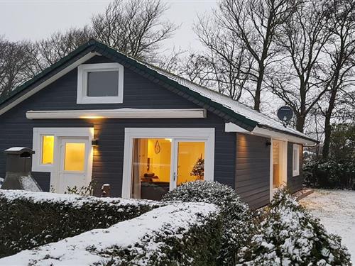 Feriehus - 4 personer -  - 1787 BM - Julianadorp