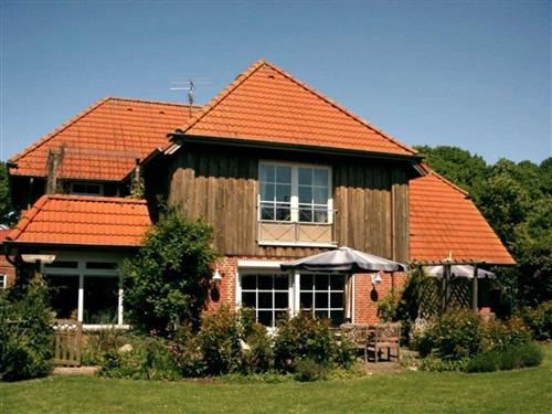 Holiday Home/Apartment - 3 persons -  - Lindenallee - 23769 - Fehmarn