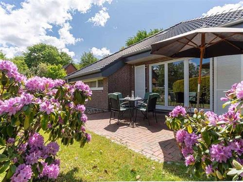 Ferienhaus - 2 Personen -  - Ostergeest 1a & - 25826 - St. Peter-Ording