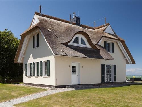 Fritidshus - 4 personer -  - Grenzweg - 18347 - Ostseebad Ahrenshoop