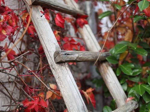 Bauernhof - 4 Personen -  - Brunnenstraße - 54531 - Eckfeld