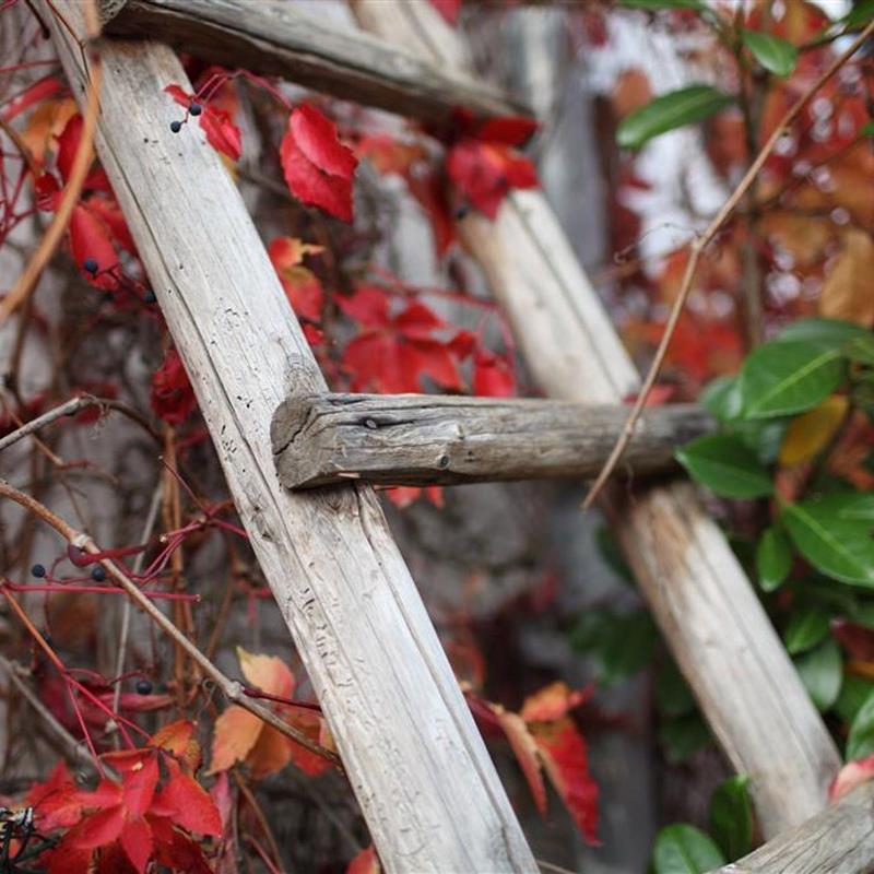 Bondegård - 4 personer -  - Brunnenstraße - 54531 - Eckfeld