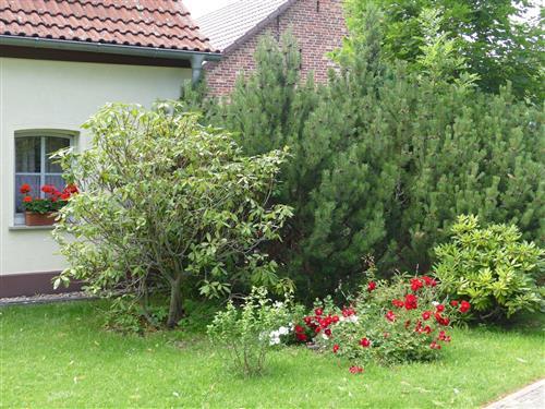 Feriehus - 8 personer -  - Dorfstr. - 15526 - Bad Saarow