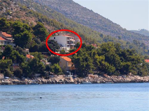 Holiday apartment - 7 persons -  - Prižba - 20271 - Blato