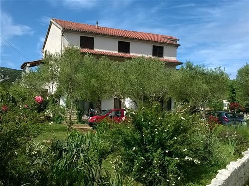 Ferielejlighed - 5 personer -  - Vrulje - 23212 - Tkon