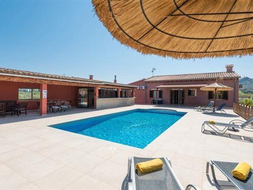 Ferienhaus - 6 Personen -  - 07400 - Alcudia