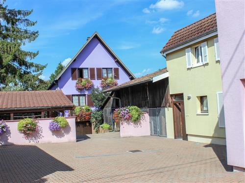 Holiday apartment - 4 persons -  - Marckolsheim - 67390