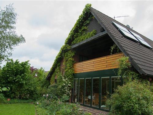 Semesterlägenhet - 4 personer -  - Bakenstraat - 26434 - Wangerland