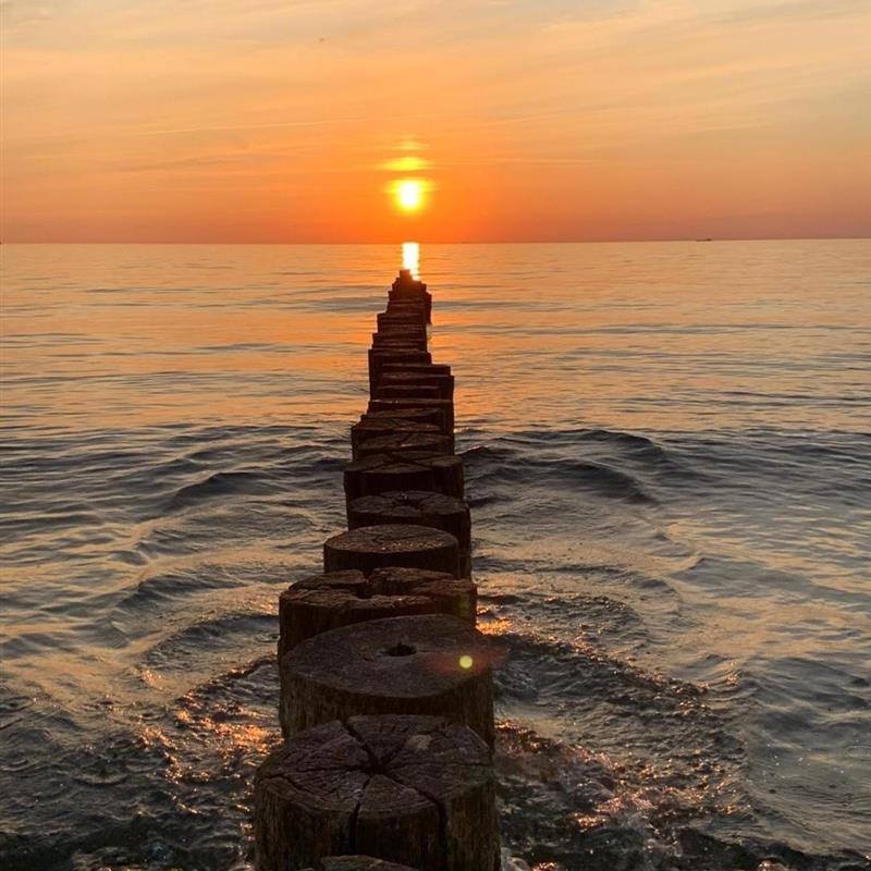 Ferielejlighed - 4 personer -  - Warnemünder Straße 1 f - 18146 - Markgrafenheide