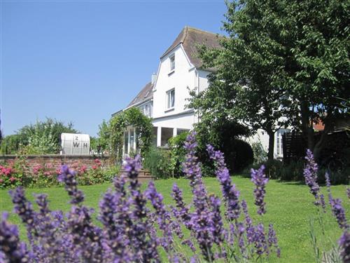 Holiday apartment - 4 persons -  - Ahrensbök - 23623