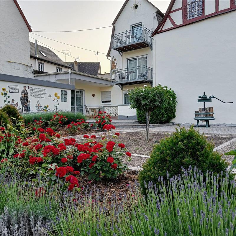 Ferielejlighed - 2 personer -  - Moselstr. - 56820 - Briedern