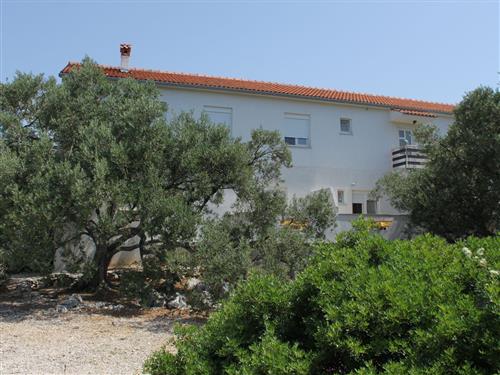 Holiday apartment - 5 persons -  - Božava - 23286 - Bozava