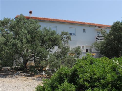 Holiday apartment - 5 persons -  - Božava - 23286 - Bozava