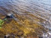 Bild 16 - Inde