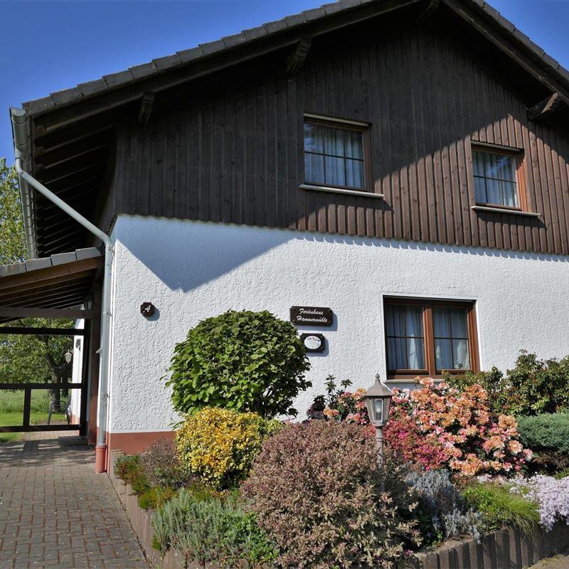 Ferielejlighed - 3 personer -  - Hammermühle - 57614 - Mudenbach