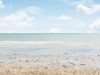 Image 16