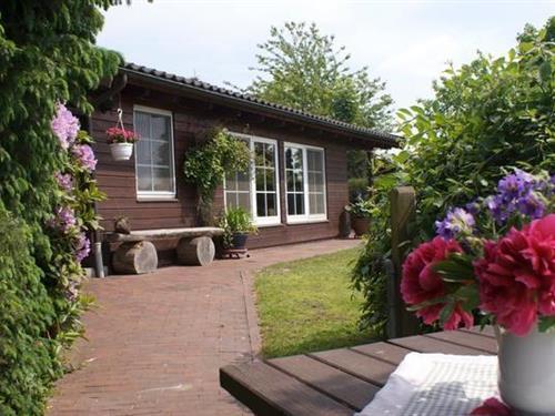 Holiday Home/Apartment - 4 persons -  - Achterlandsweg - 26345 - Bockhorn - Grabstede