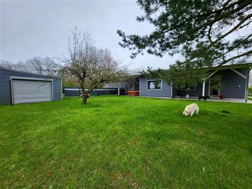 Ferielejlighed - 4 personer -  - Lanckensburg - 18556 - Altenkirchen