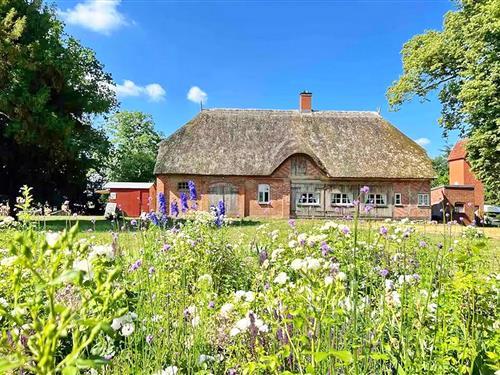 Ferieleilighet - 5 personer -  - Zum Gutshaus - 23996 - Bad Kleinen