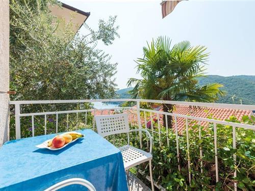 Ferieleilighet - 4 personer -  - Istarska - 52221 - Rabac