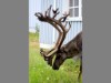 Bild 20 - Inde