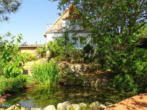 Emne nr.: 136-DMV440