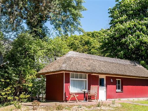 Sommerhus - 2 personer -  - Dorfstraße - 18347 - Ostseebad Ahrenshoop