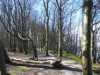 Bild 19