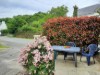 Image 14