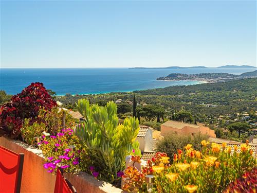 Ferielejlighed - 4 personer -  - La Croix-Valmer - 83420