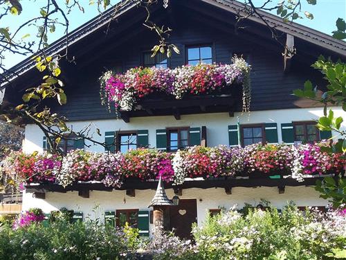 Ferielejlighed - 3 personer -  - Untersbergstraße - 5084 - Großgmain