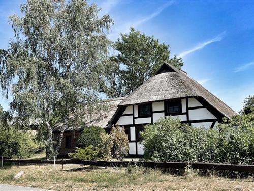 Sommerhus - 6 personer -  - Zum Roland - 18356 - Fuhlendorf