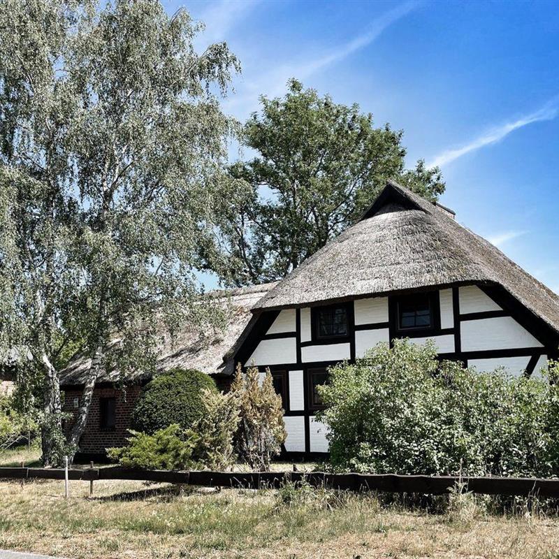 Sommerhus - 6 personer -  - Zum Roland - 18356 - Fuhlendorf