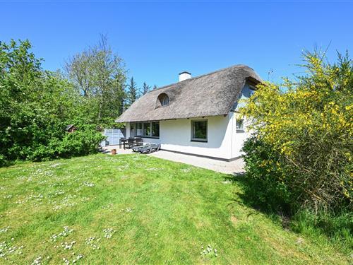 Ferienhaus - 6 Personen -  - Havbjerge - Vester Husby - 6990 - Ulfborg
