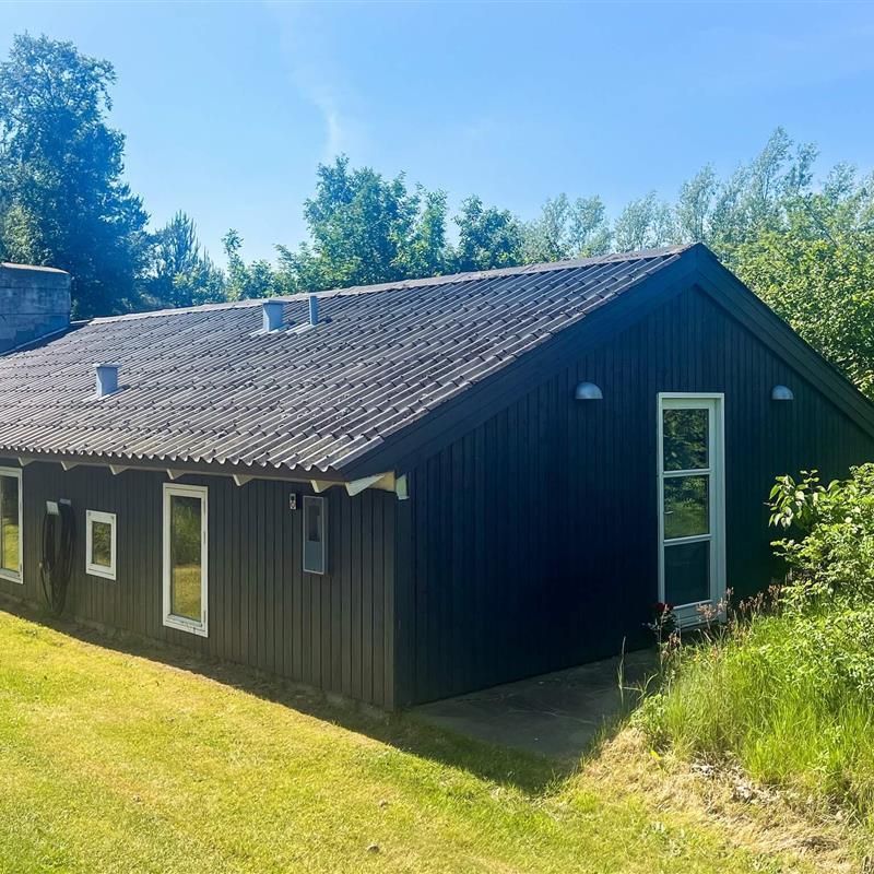 Ferienhaus - 6 Personen -  - Kandeborgvej - Bratten - 9981 - Jerup