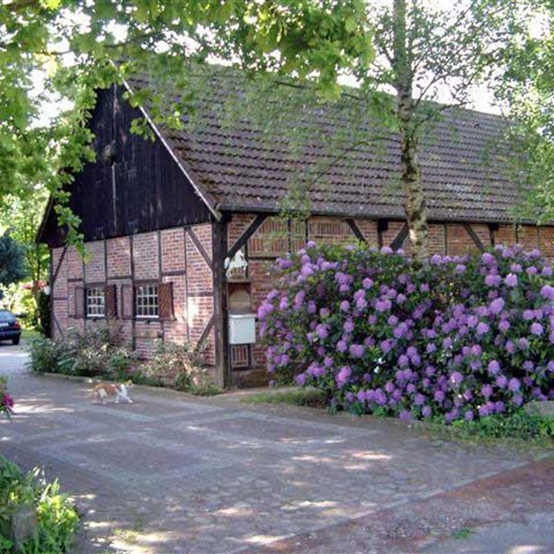 Ferielejlighed - 3 personer -  - Dingsfelder Weg - 26215 - Wiefelstede