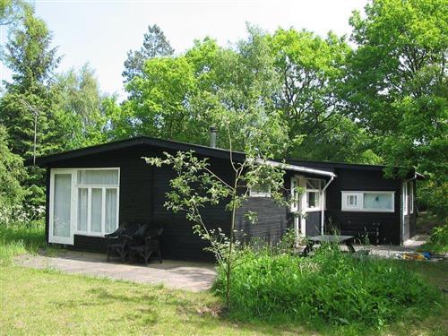 Sommerhus - 5 personer -  - Skoven - Helgenæs - 8420 - Knebel