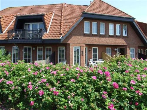 Sommerhus - 5 personer -  - Hindboll 3 a - 25718 - Friedrichskoog / Spitze