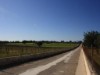 Bilde 18 - Ude