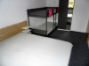 Bilde 5