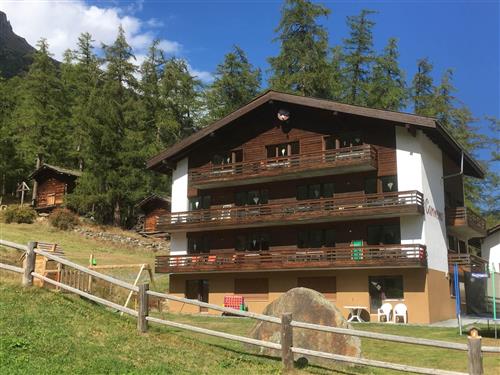 Ferienhaus - 2 Personen -  - Saas-Grund - 3910