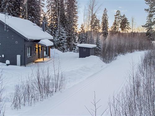 Holiday home - 8 persons -  - Kuhmoinen - 42100
