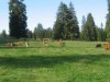Bild 16 - Ude