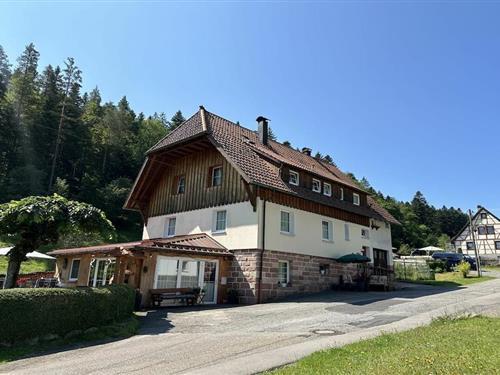 Feriehus - 7 personer -  - 75337 - Enzklösterle