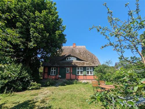 Sommerhus - 4 personer -  - Chausseestraße - 18375 - Born