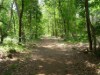 Bild 21