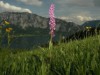 Bild 32